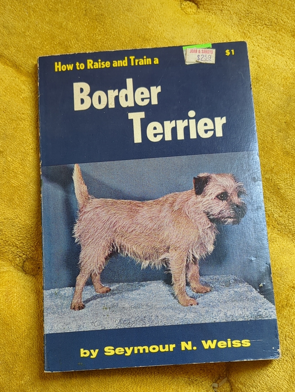 1966 Copy How To Raise And Train A Border Terrier Guide Book